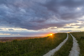 path forward